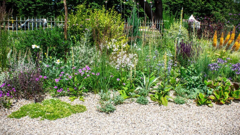 Show gardens | CED Stone